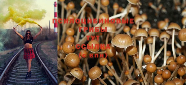 гидропоника Баксан