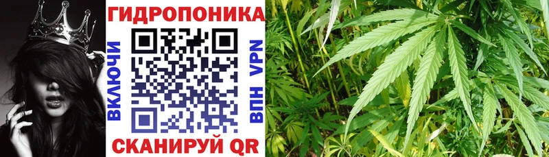 Бошки Шишки SATIVA & INDICA Шацк